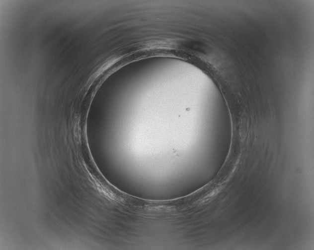 X0000080661113200612221044