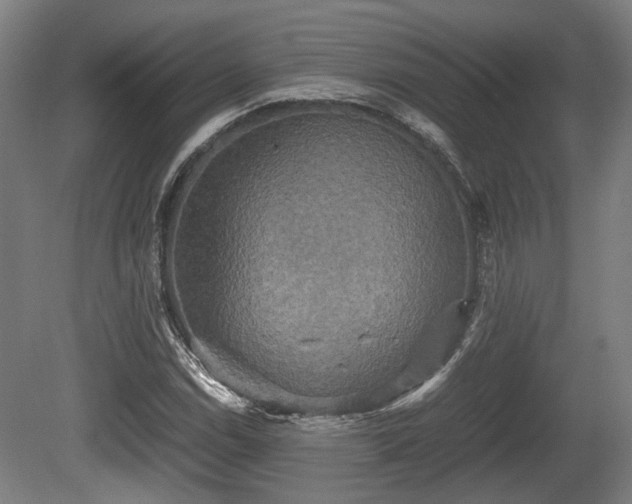 X0000080661114200612221044