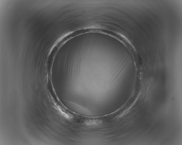 X0000080661117200612221044