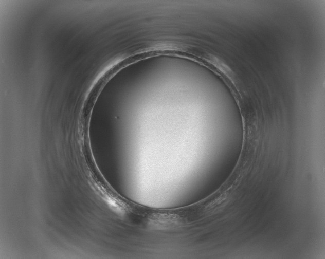 X0000080661119200612221044