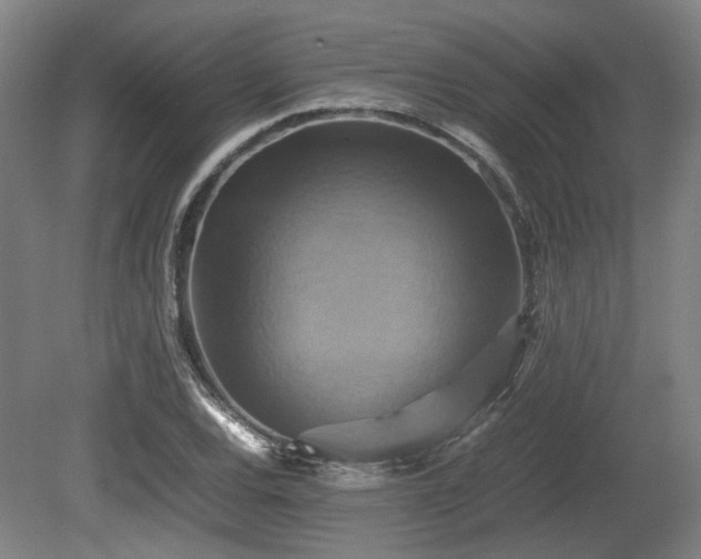 X0000080661120200612221044