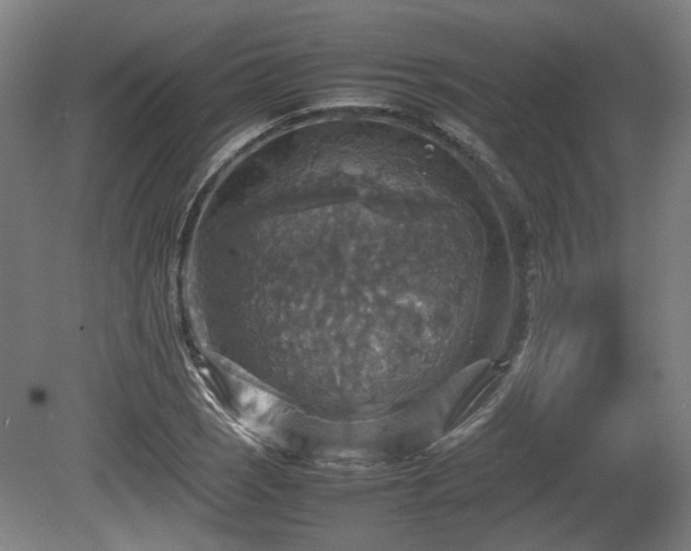 X0000080661121200612221044