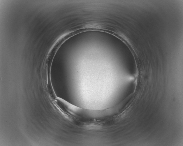 X0000080661123200612221044