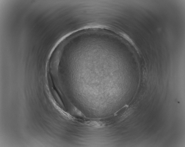 X0000080661124200612221044