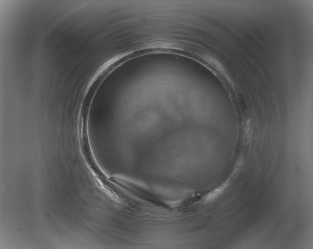 X0000080661125200612221044