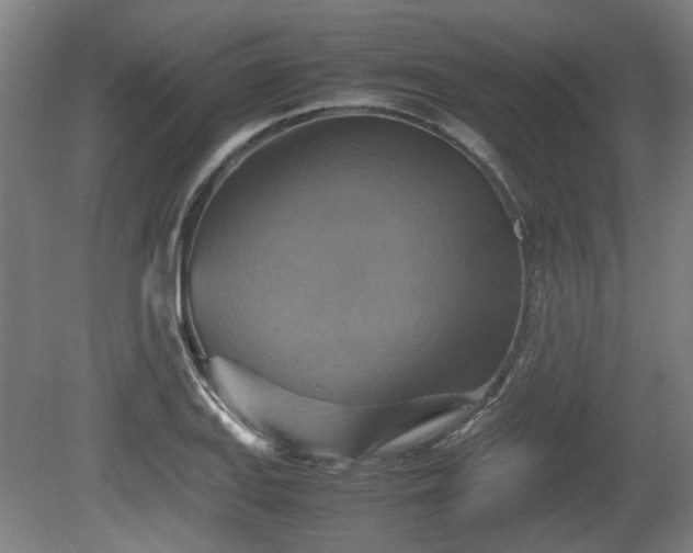 X0000080661127200612221044