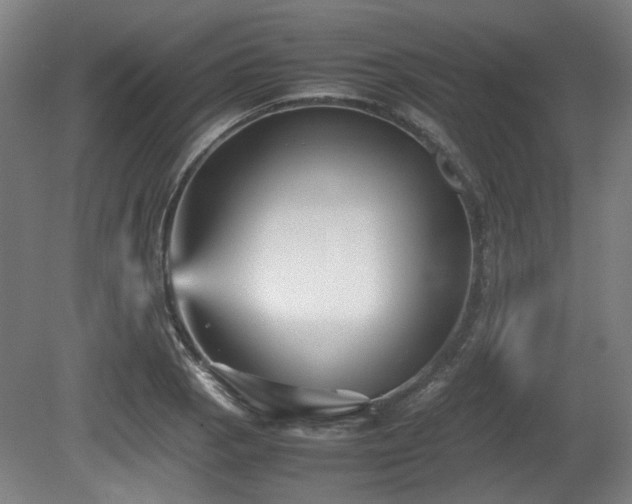 X0000080661129200612221044