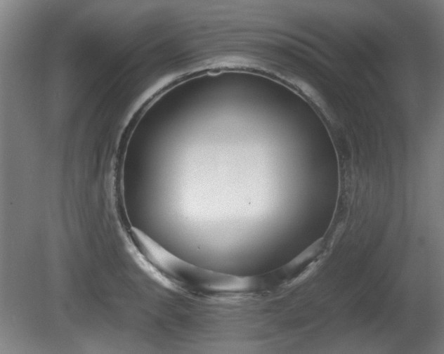 X0000080661134200612221044