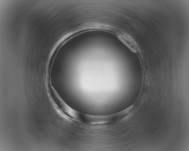 X0000080661136200612221044