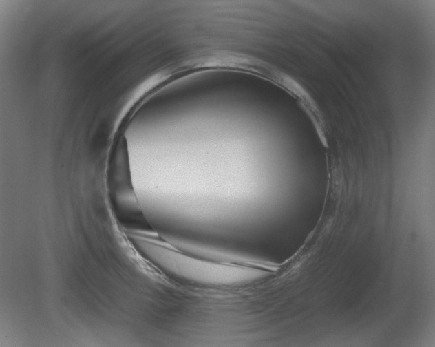 X0000080661138200612221044