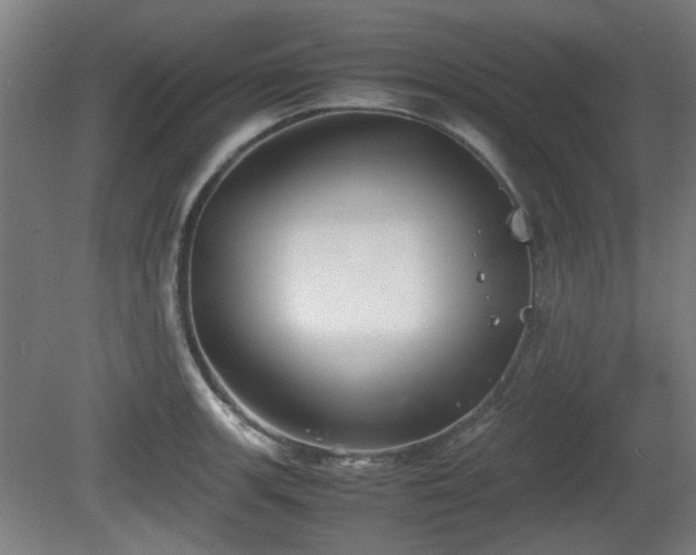 X0000080661139200612221044