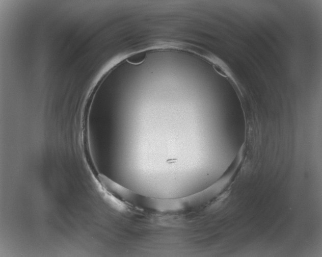 X0000080661143200612221044