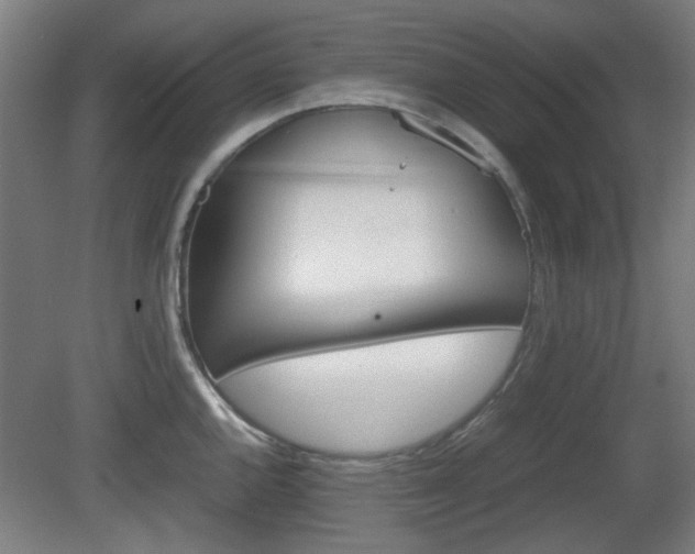 X0000080661144200612221044