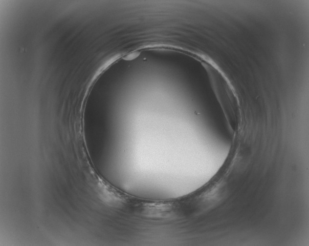 X0000080661145200612221044