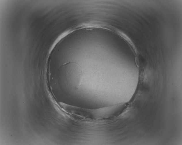 X0000080661146200612221044