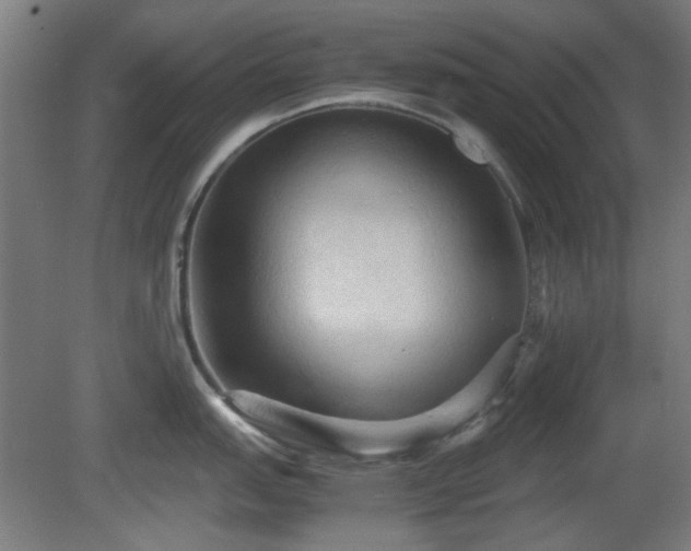 X0000080661151200612221044