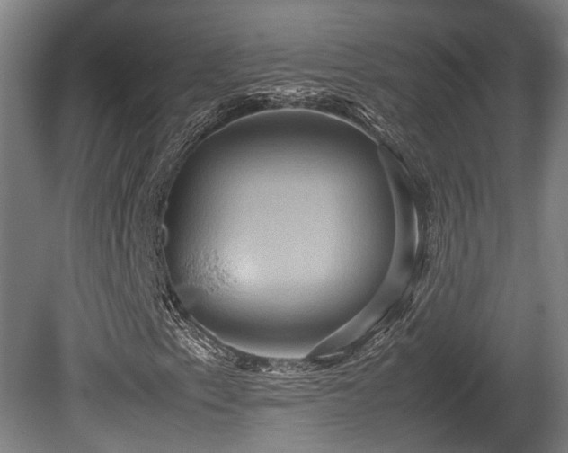 X0000080661153200612221043