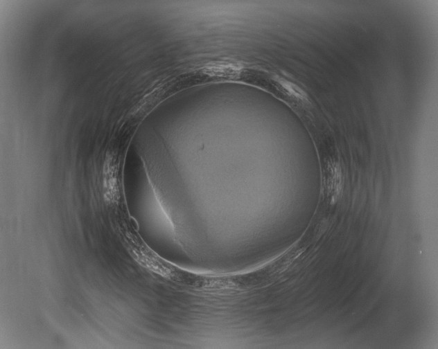 X0000080661154200612221043