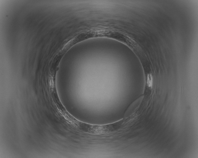 X0000080661155200612221043