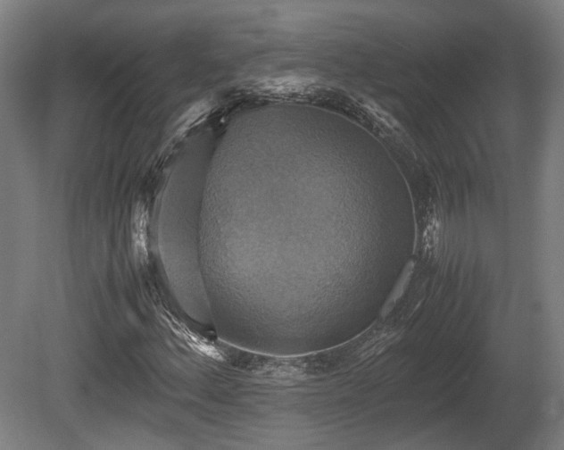 X0000080661156200612221043