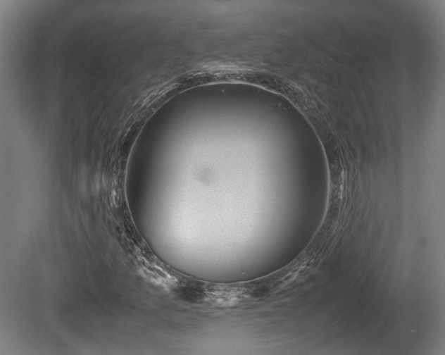 X0000080661157200612221043