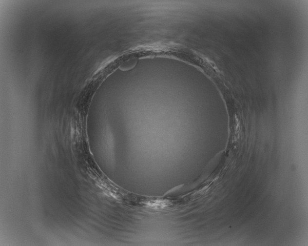 X0000080661158200612221043