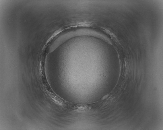 X0000080661160200612221043