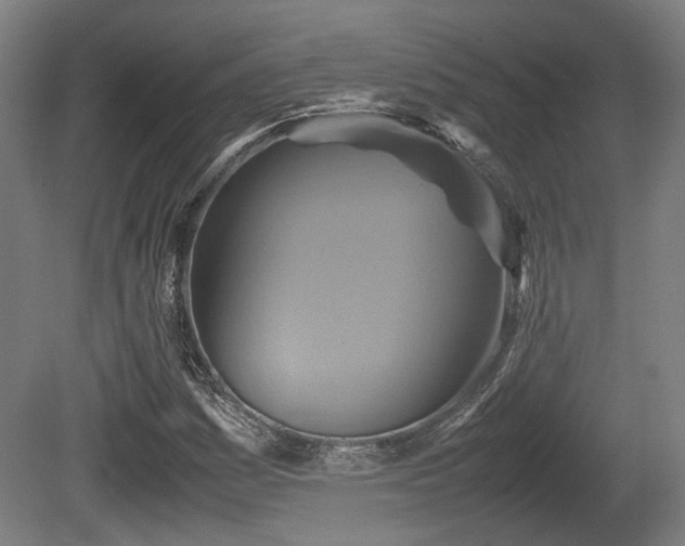X0000080661161200612221043