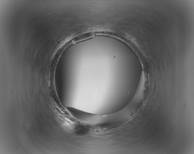 X0000080661165200612221043