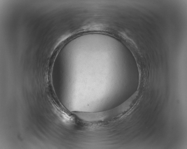 X0000080661166200612221043