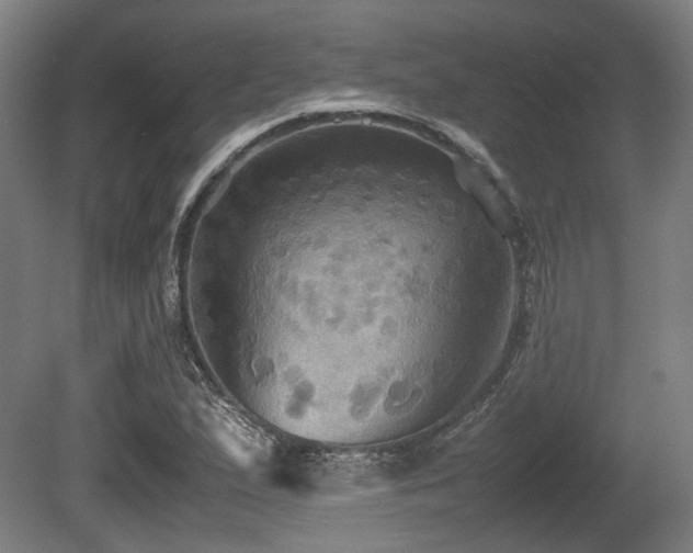 X0000080661167200612221043