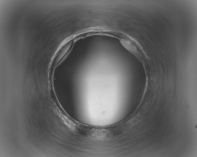 X0000080661168200612221043