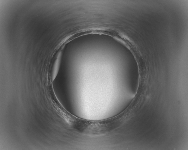 X0000080661169200612221043