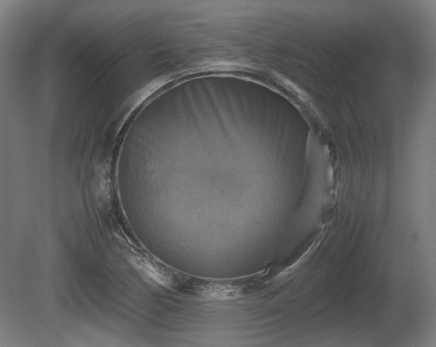 X0000080661170200612221043