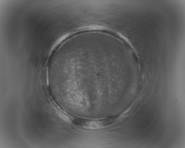 X0000080661171200612221043