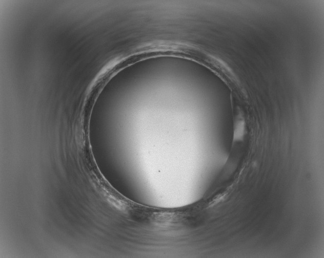 X0000080661172200612221043
