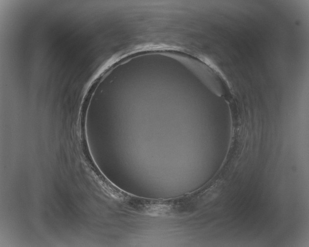 X0000080661173200612221043
