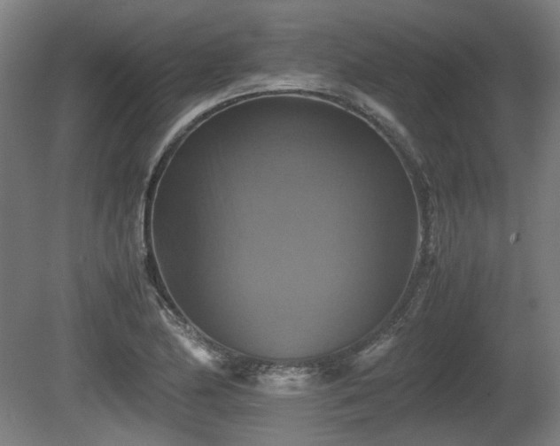 X0000080661174200612221043