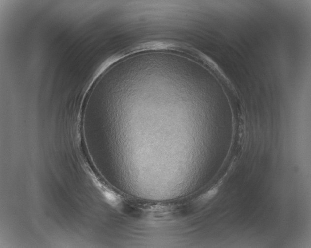 X0000080661178200612221043