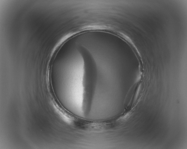 X0000080661179200612221043
