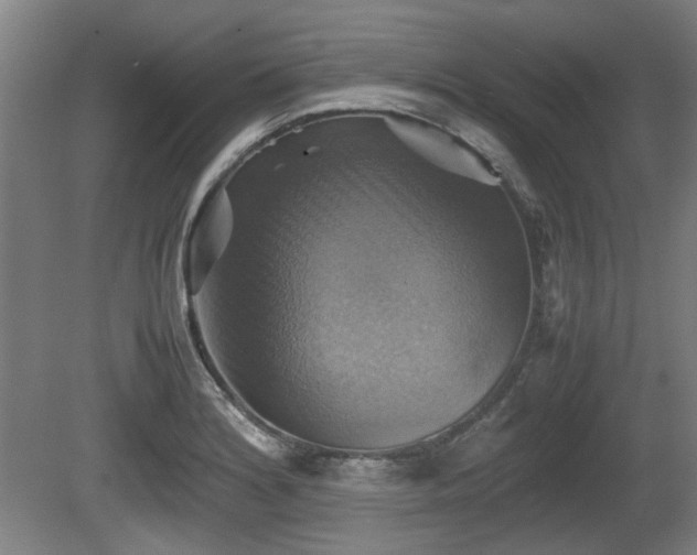 X0000080661180200612221043