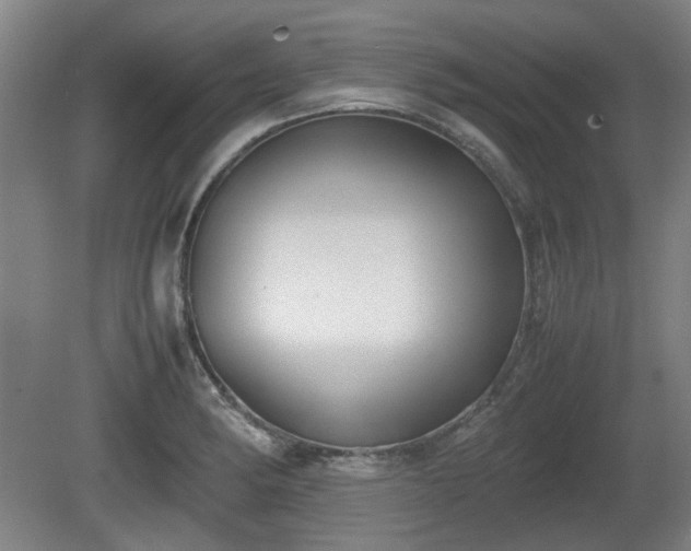 X0000080661182200612221043