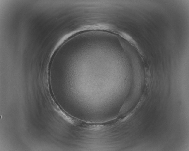 X0000080661184200612221043