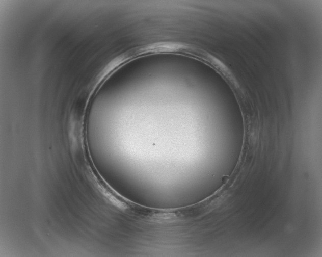 X0000080661186200612221043