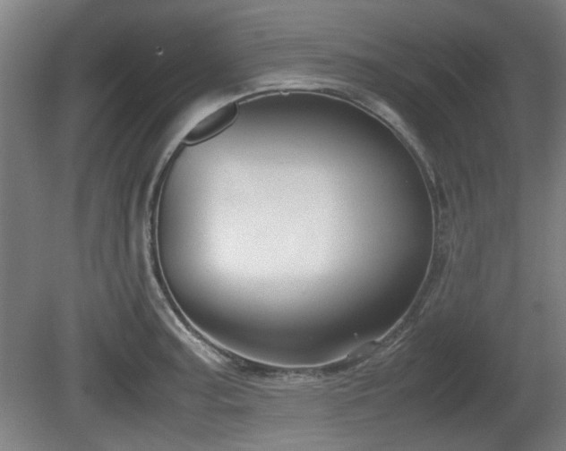 X0000080661187200612221043