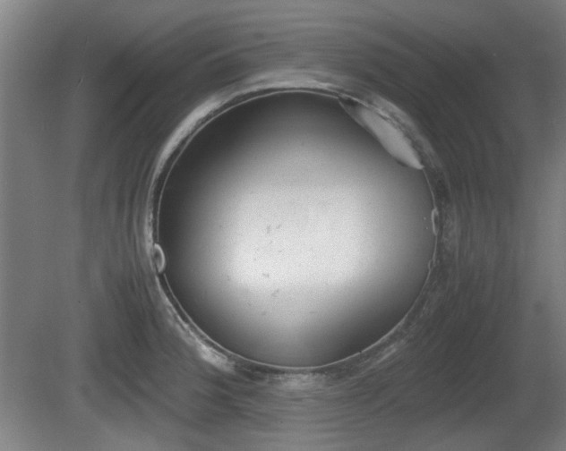 X0000080661188200612221043