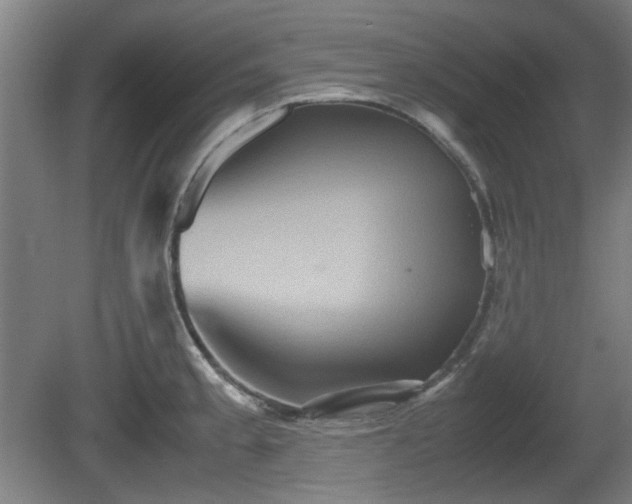 X0000080661189200612221043
