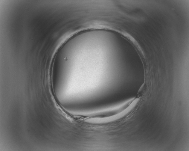 X0000080661191200612221043