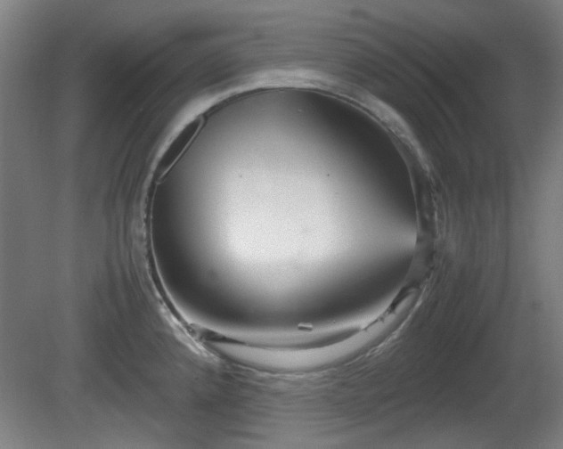 X0000080661192200612221043