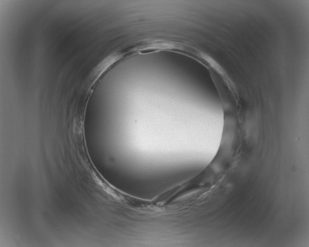 X0000080661193200612221043